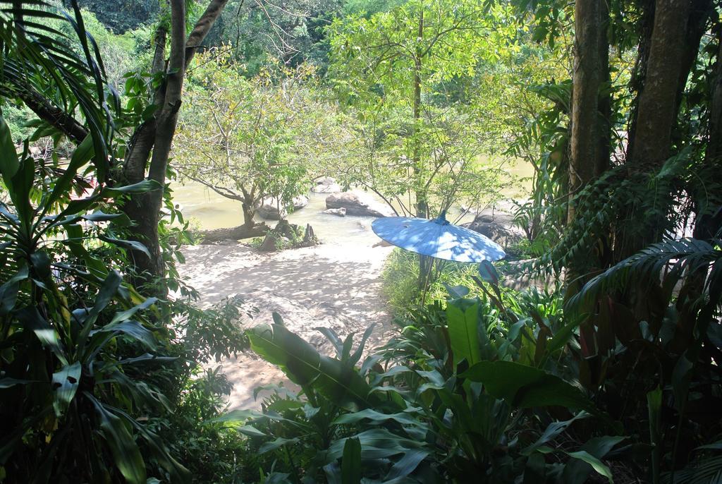 热带雨林度假村 Ban Pak Yang 外观 照片